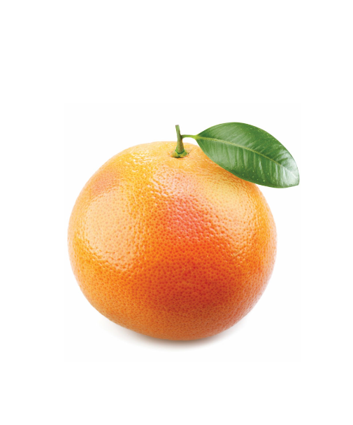 Grapefruit - Aroma Natural de Toranja - Image 2
